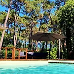 Connemara, Superbe Avec Piscine, Au Coeur De La Foret, Acces A La En Velo *