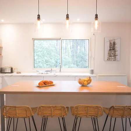 Connemara, Superbe Avec Piscine, Au Cœur De La Forêt, Accès à La En Vélo Villa Soorts-Hossegor