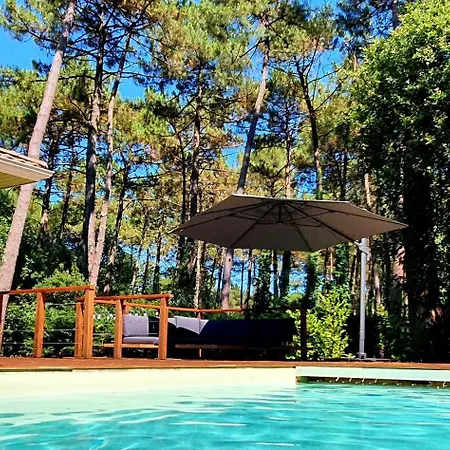 Connemara, Superbe Avec Piscine, Au Coeur De La Foret, Acces A La En Velo *